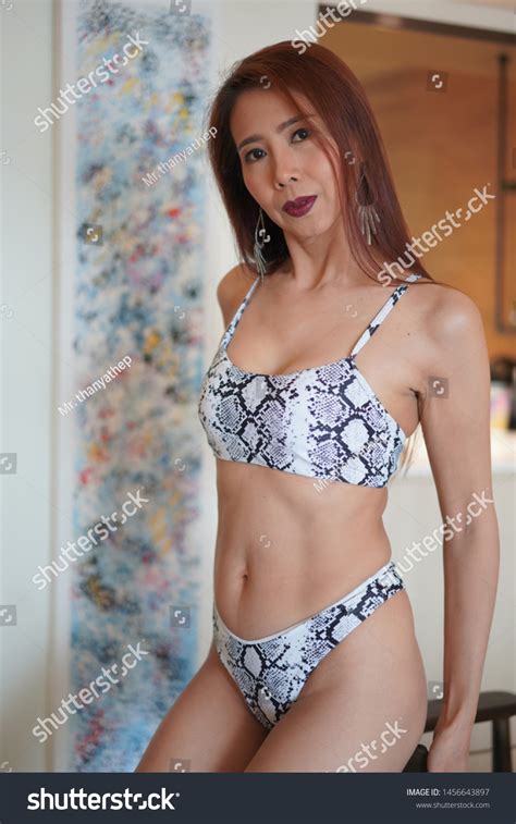 Beautiful Sexy Woman Bikini Posing Room Stock Photo 1456643897 Shutterstock