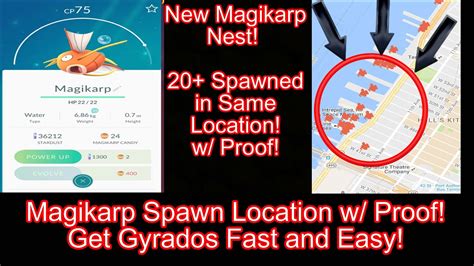 Pokemon GO Magikarp Nest 20 Spawned In How To Get Gyrados Fast And