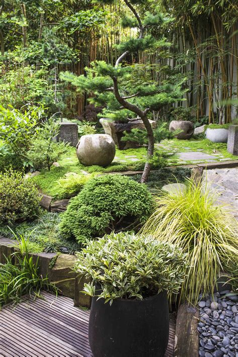 Composition D Un Jardin Japonais Jardin Japonais Jardin Zen Nos | Hot ...