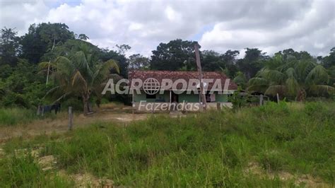 Fazenda Venda No Par Paragominas Ha Agroportal