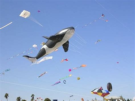 Spectacular Kite Festivals!