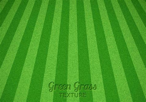 Mowed Green Grass Vector Texture Vector Art At Vecteezy