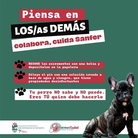 Nueva campaña para sensibilizar sobre la importancia de recoger