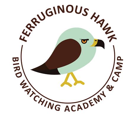 Ferruginous Hawk - Bird Watching Academy