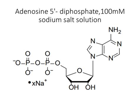 Adenosine 5 Diphosphate 100mM Sodium Salt Solution Akonscientific