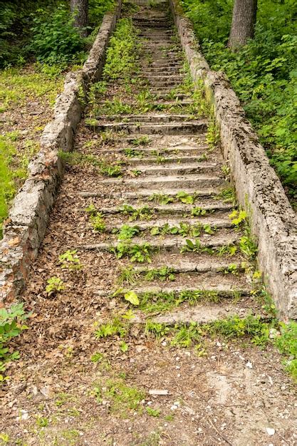 Uma Velha Escadaria De Pedra Em Ru Nas Para O Topo Coberto De Grama