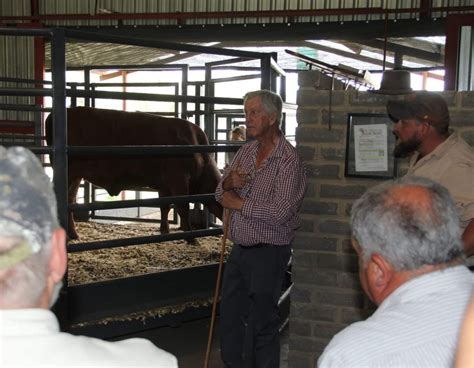 Voerkraal Wenke Vir Beesprodusente Agriorbit