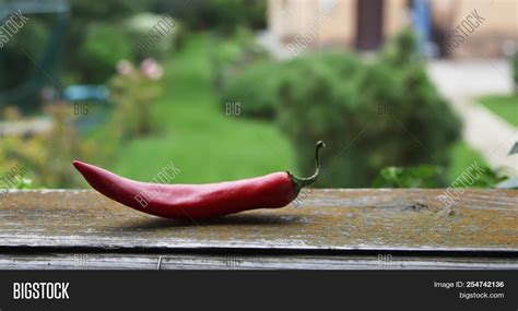 Red Chilli Red Hot Image Photo Free Trial Bigstock