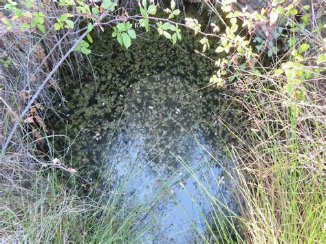 Quinta Venda Em Salgueiro Do Campo Castelo Branco Re Max