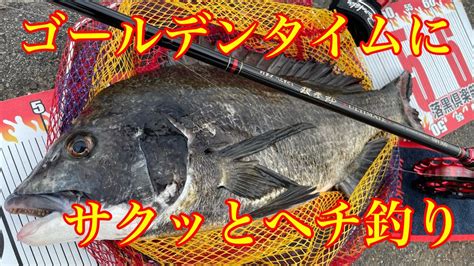 ゴールデンタイムにサクッとヘチ釣り【チヌ釣り 黒鯛 落とし込み】 Youtube