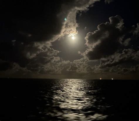 Im Nectarine Cam Model Free Live Sex Show Chat Stripchat