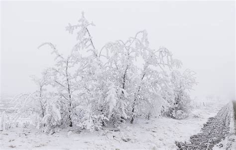 Jim Cox Photos: Hoar-frost