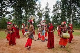 Music And Dance In Madhya Pradesh Muria Dance Holiday Landmark Blog