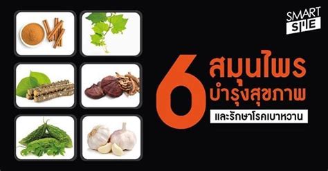 6 สมนไพรบำรงสขภาพและรกษาโรคเบาหวาน 1 มะระขนก 2 ตำลง 3 อบเชย 4 เหดหลน