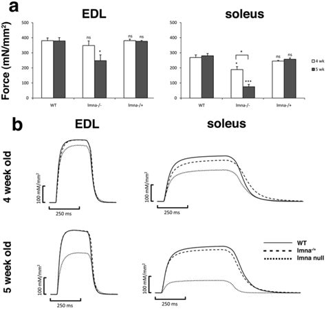 Muscle Specific Force Produced By Edl Left Panel And Soleus Right