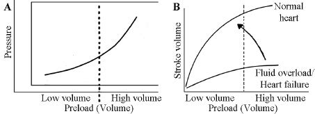 The Frank Starling Curve A Shows That An Increase In Preload