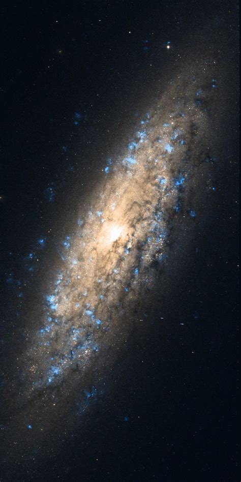 NGC 6503 - Alchetron, The Free Social Encyclopedia
