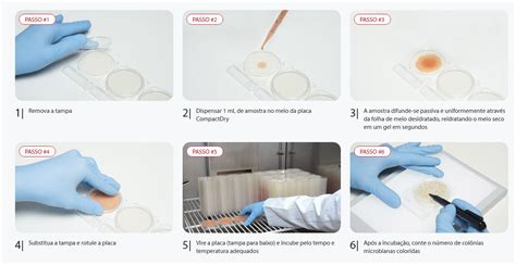 Compact Dry Coliformes E E Coli EC 100 Testes