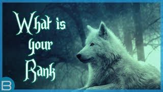 Anime Wolf Pack Names Dark grey wolves are my favourite