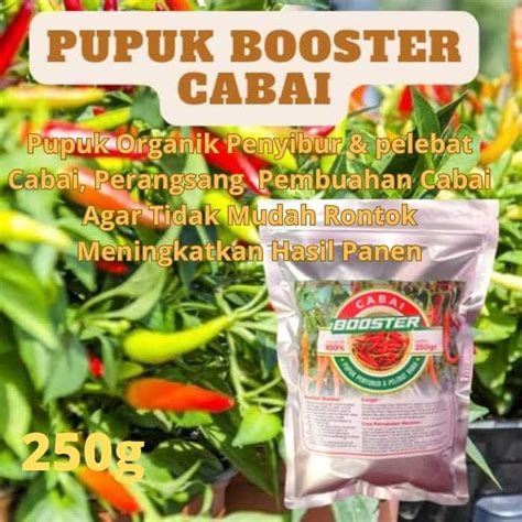 Terlaris Pupuk Cabai Buah Lebat Pupuk Cabai Masa Pertumbuhan Pupuk