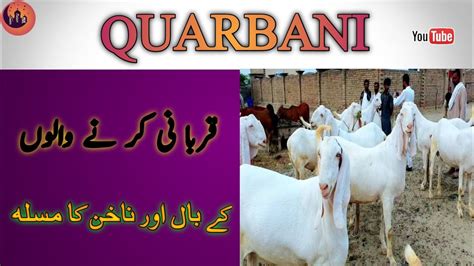 Qurbani Karne Walo Ke Baal Or Nakhoon Ka Masla Ki Fazeelat 2023 Youtube