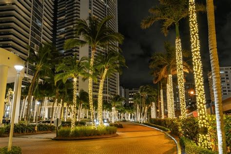 5 Christmas Decoration At The Beach In Florida 2023 Royalty-Free Photos ...