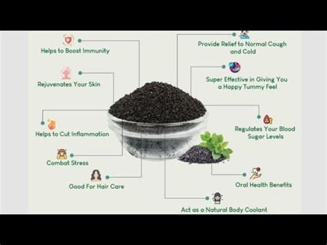 Health Benefits Of Basil Seeds Tukh Malanga Ke Fawaid Youtube