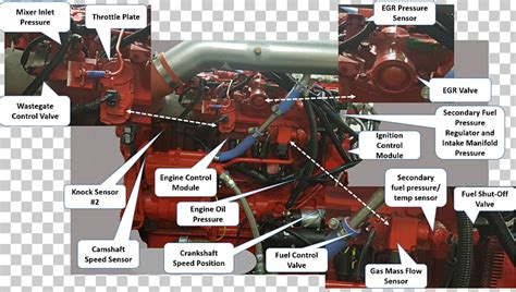 Cummins Isx Engine Parts Diagram Passenger Side Cummins M11