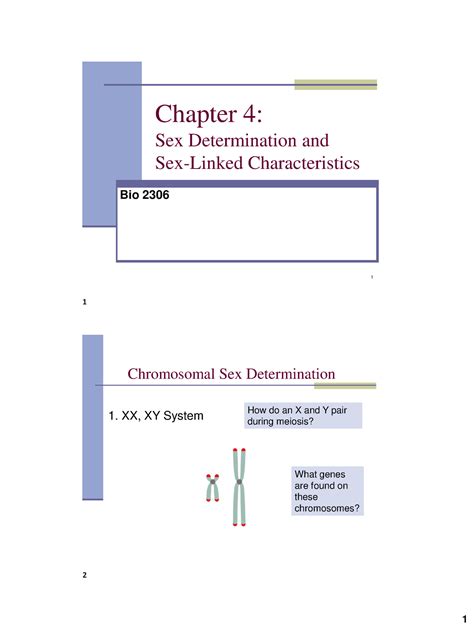 Chap Ppt Student In Class Discussion Notes Chapter Sex