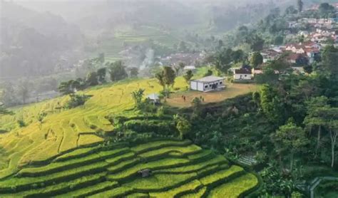 Kampung Ciwaluh Wisata Alam Di Bogor Untuk Habiskan Waktu Akhir Pekan