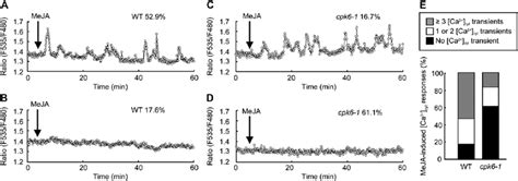 MeJA Induced Ca 2 Cyt Increments In Wild Type WT And Cpk6 1 Guard