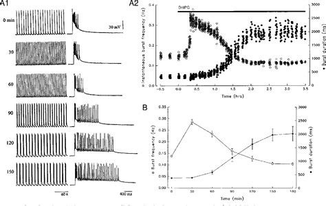 Figure 1 From Requirement Of Protein Synthesis For Group I MGluR