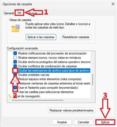 Como Ver la Extensión de Archivos en Windows 11 2025