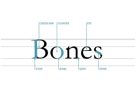 Design Font Typography Book Letter Anatomy Type Anatomy