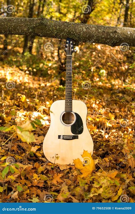 Guitar in autumn leaves stock photo. Image of hobby, autumn - 79652508