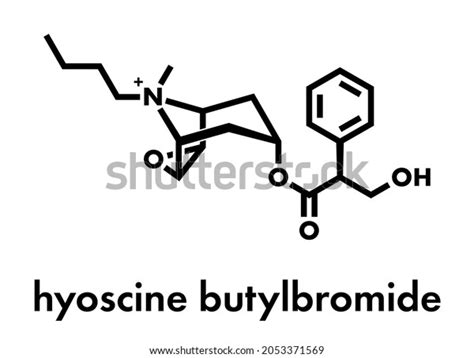 Butylscopolamine Hyoscine Butylbromide Scopolamine Butylbromide Butylhyoscine Stock Vector