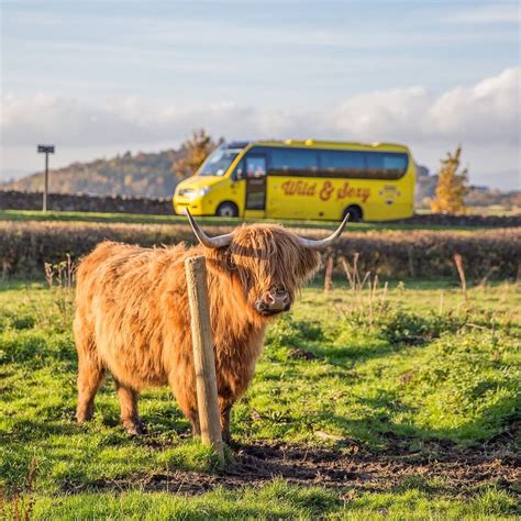 2024年 Haggis Adventures Inverness 出発前に知っておくべきことすべて トリップアドバイザー