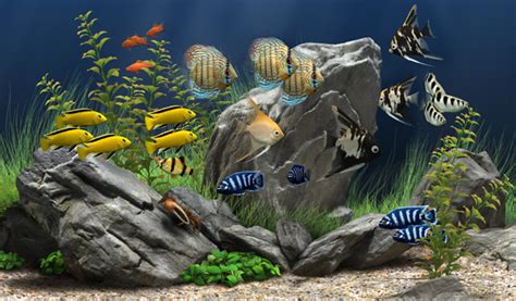 Dream Aquarium - The World's Most Amazing Virtual Aquarium for your PC or Mac!