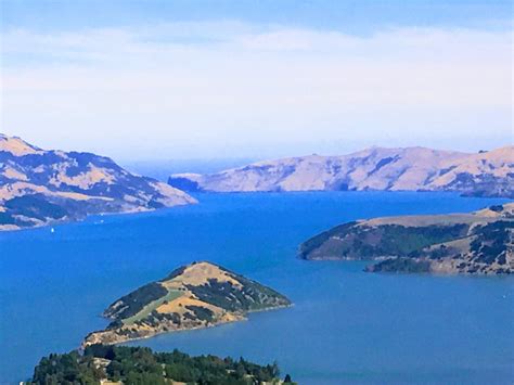 THE 15 BEST Things to Do in Akaroa (2025) - Must-See Attractions