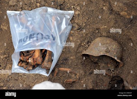 Remains Of A German Soldiers From World War Ii Recovered By The Stock