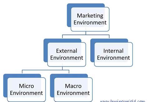 Marketing Environment Definition Concept And Best Practices Case