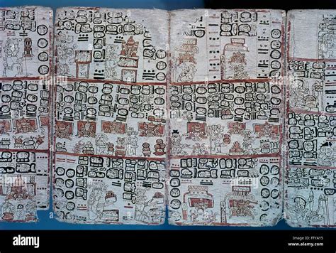 MAYAN CODEX, 16TH CENTURY. /nDetail from the 16th century Madrid Codex ...