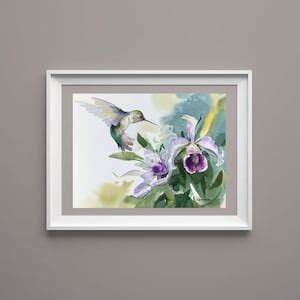 Hummingbird Orchid Flowers Original Art Watercolor Painting Home Decor ...