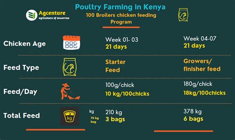 How profitable is broiler farming in Kenya | Agcenture