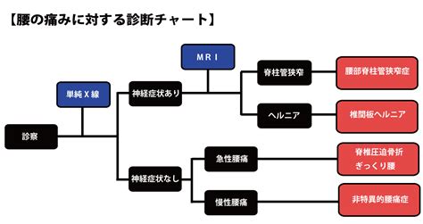 非特異的腰痛症について正しく理解する