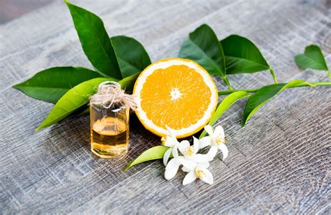 Aceite Esencial De Neroli Usos Beneficios Y Contraindicaciones