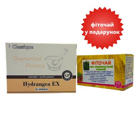 Набор Гортензия Сантегра + Фиточай При мочекаменной болезни (Hydrangea ...