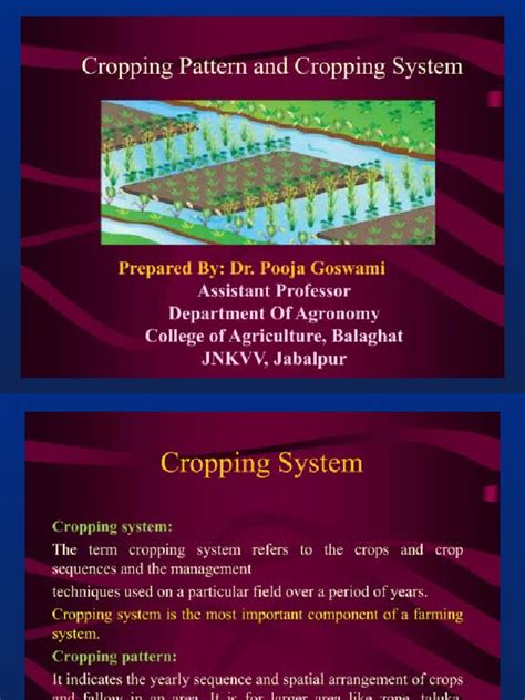 Cropping System | PDF