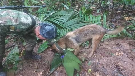 Podr A Estar Vivo Defensa Civil Sigue Buscando A Wilson En Selvas