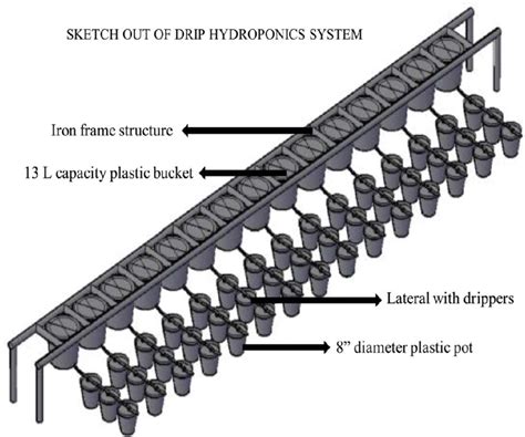 Sketch out of a drip-hydroponics system. | Download Scientific Diagram